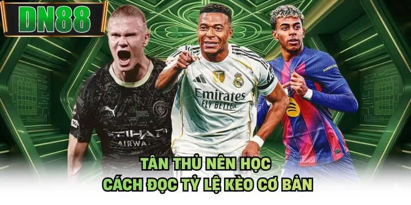 Tân thủ nên học cách đọc tỷ lệ kèo cơ bản